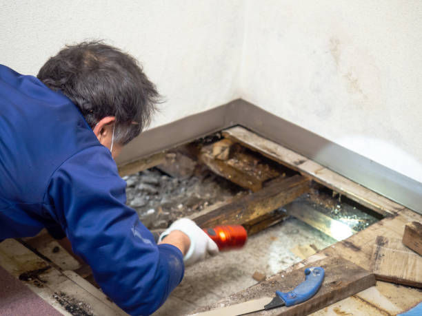 Water Damage Restoration in Cuthbert, GA
