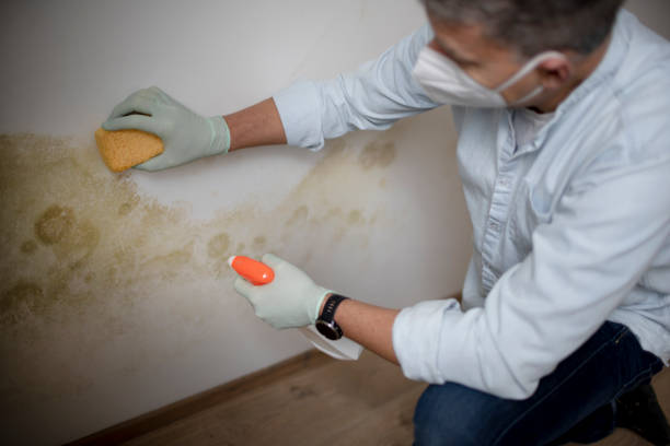 Best Residential Mold Removal  in Cuthbert, GA