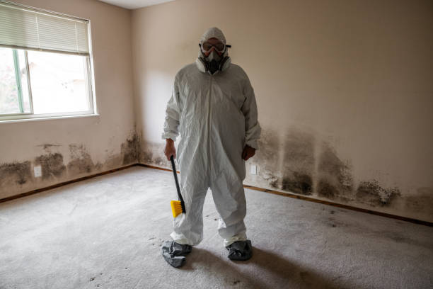 Best Mold Cleaning Services  in Cuthbert, GA