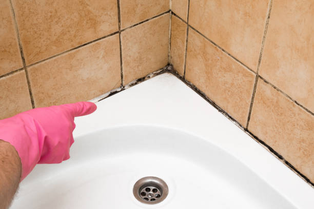 Best Black Mold Removal  in Cuthbert, GA
